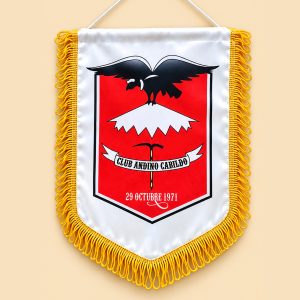 Banderín Raso Estampado