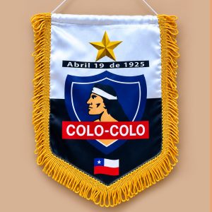 Banderín Raso Estampado