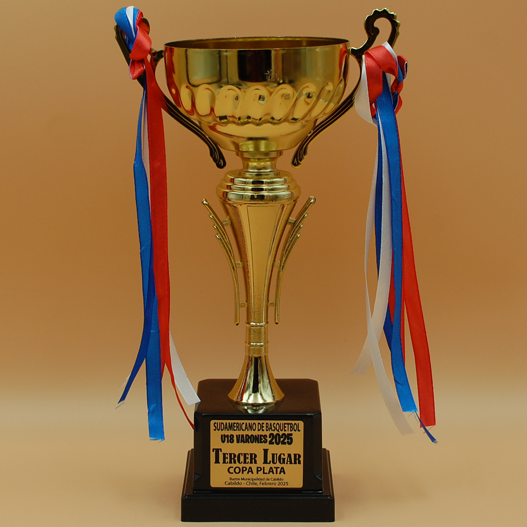 Copa CP15 C - Imagen 3