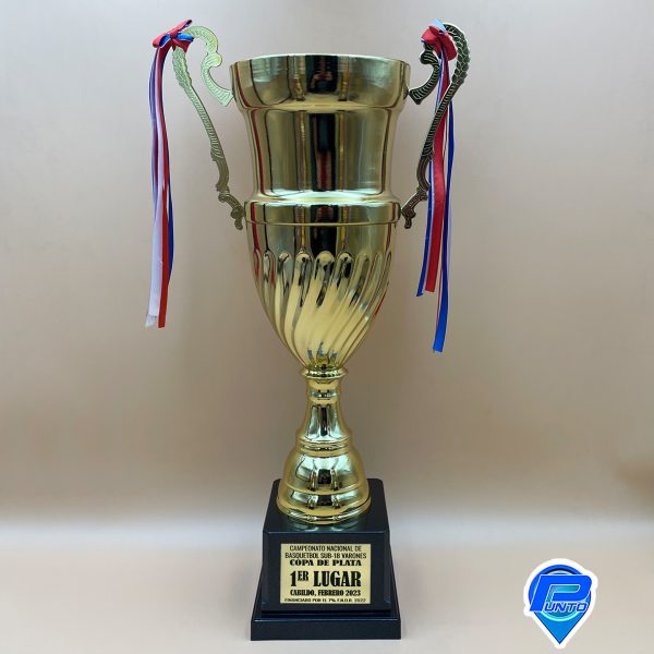 Copa CP23 A - Imagen 4
