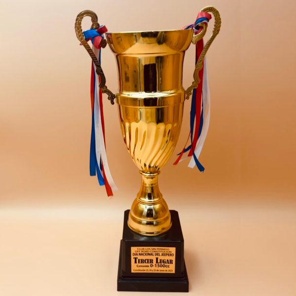 Copa CP23 B - Imagen 4