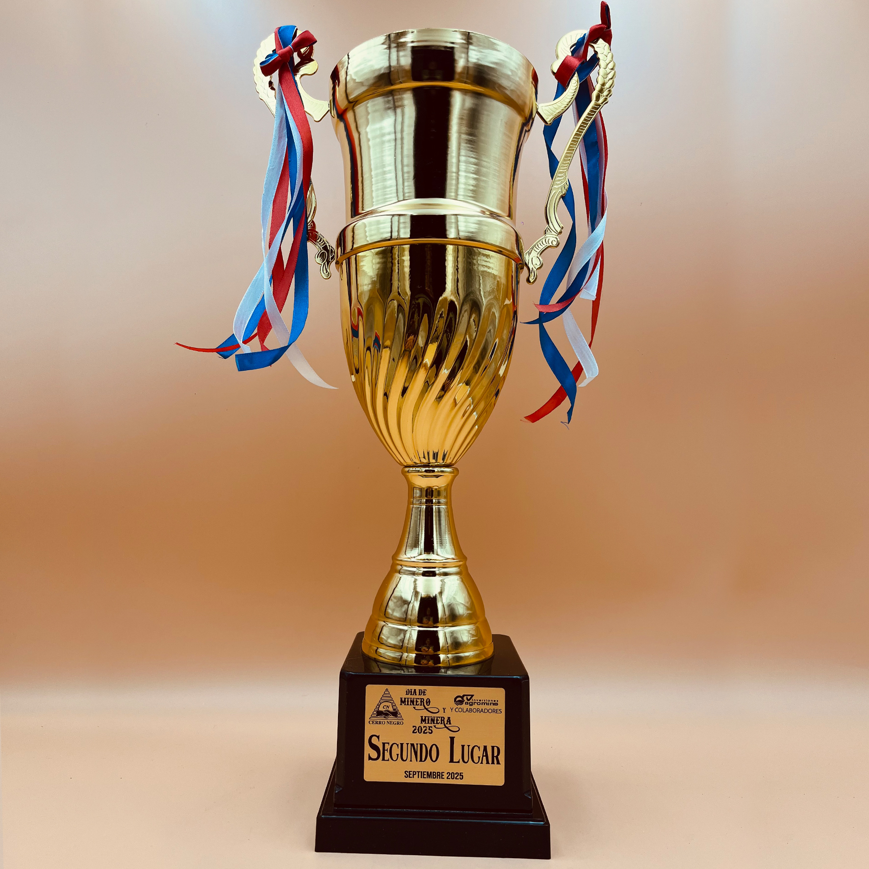 Copa CP23 B