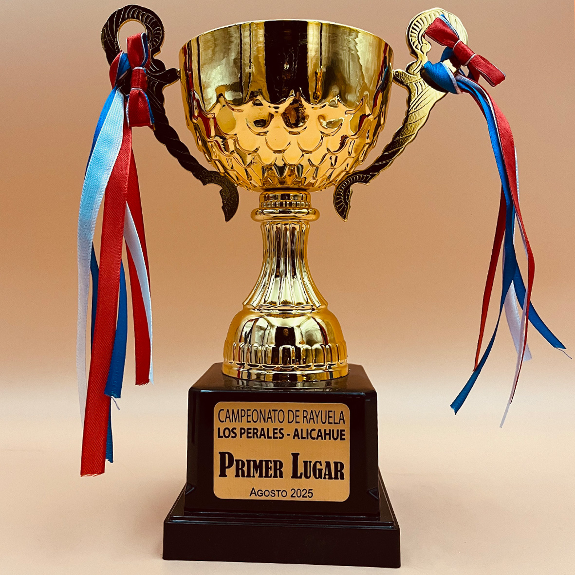 Copa CP14 C