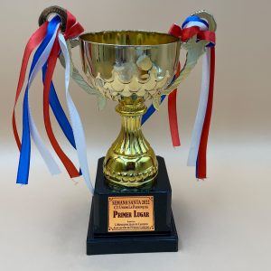 Copa CP14 C
