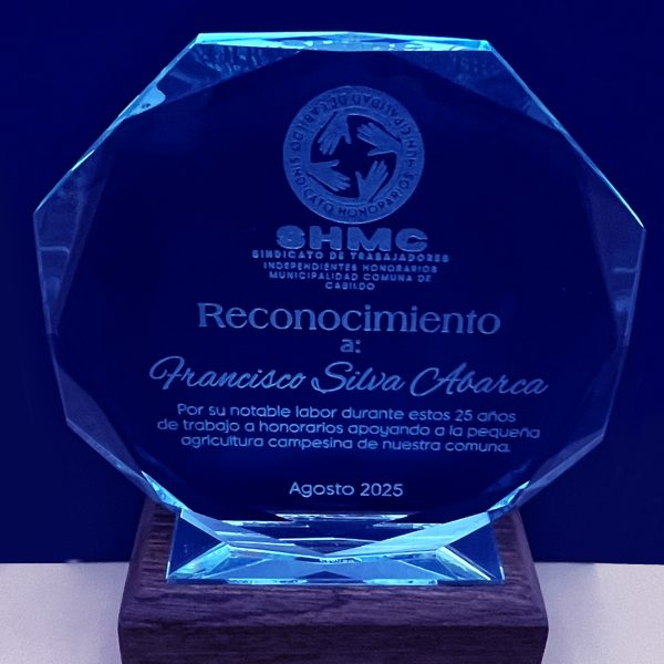 Galvano Cristal Octogonal - Imagen 6