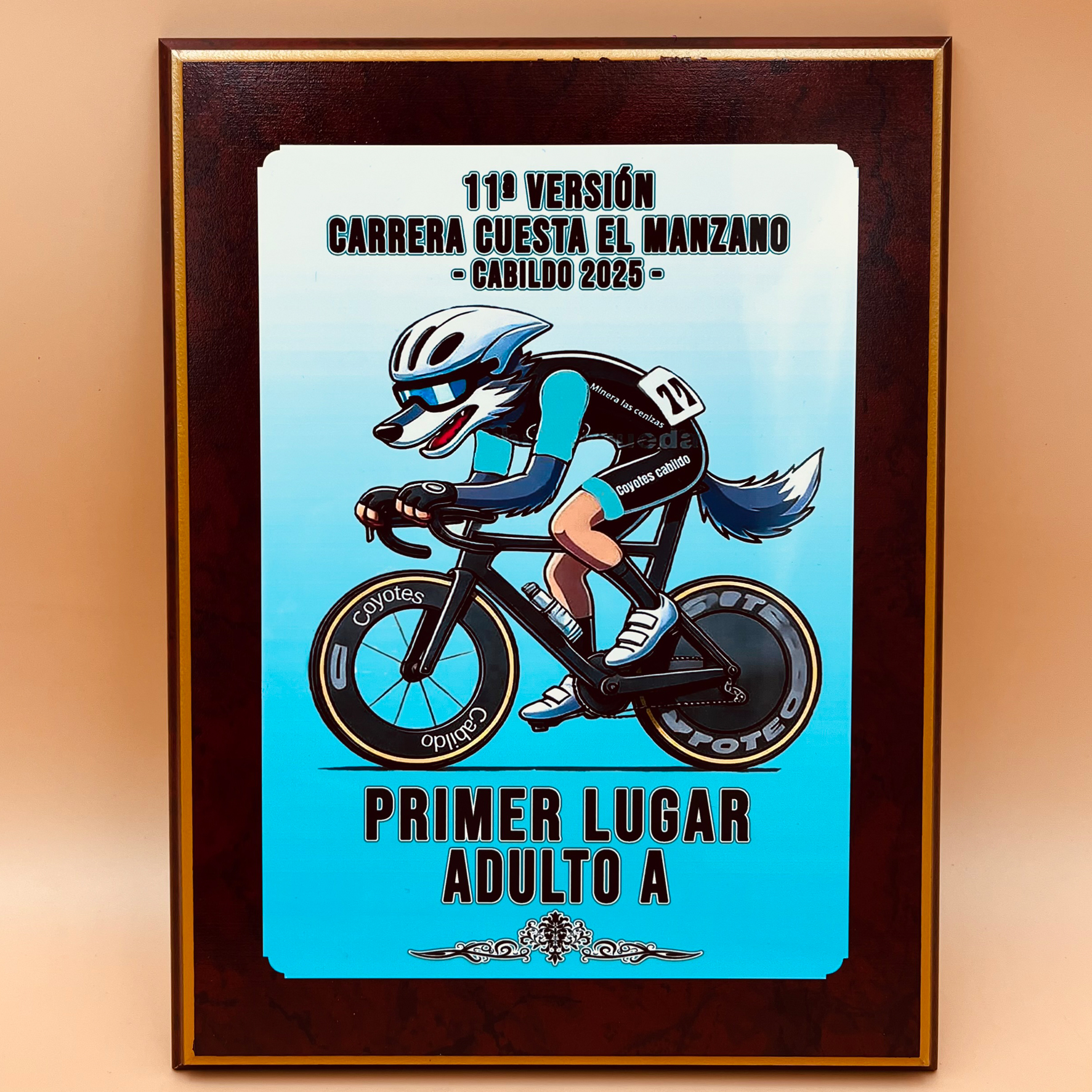 Placa Aluminio Sublimable - Imagen 4