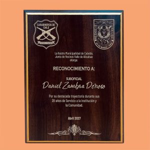 Retablo MDF Enchapado 23x30cm WD