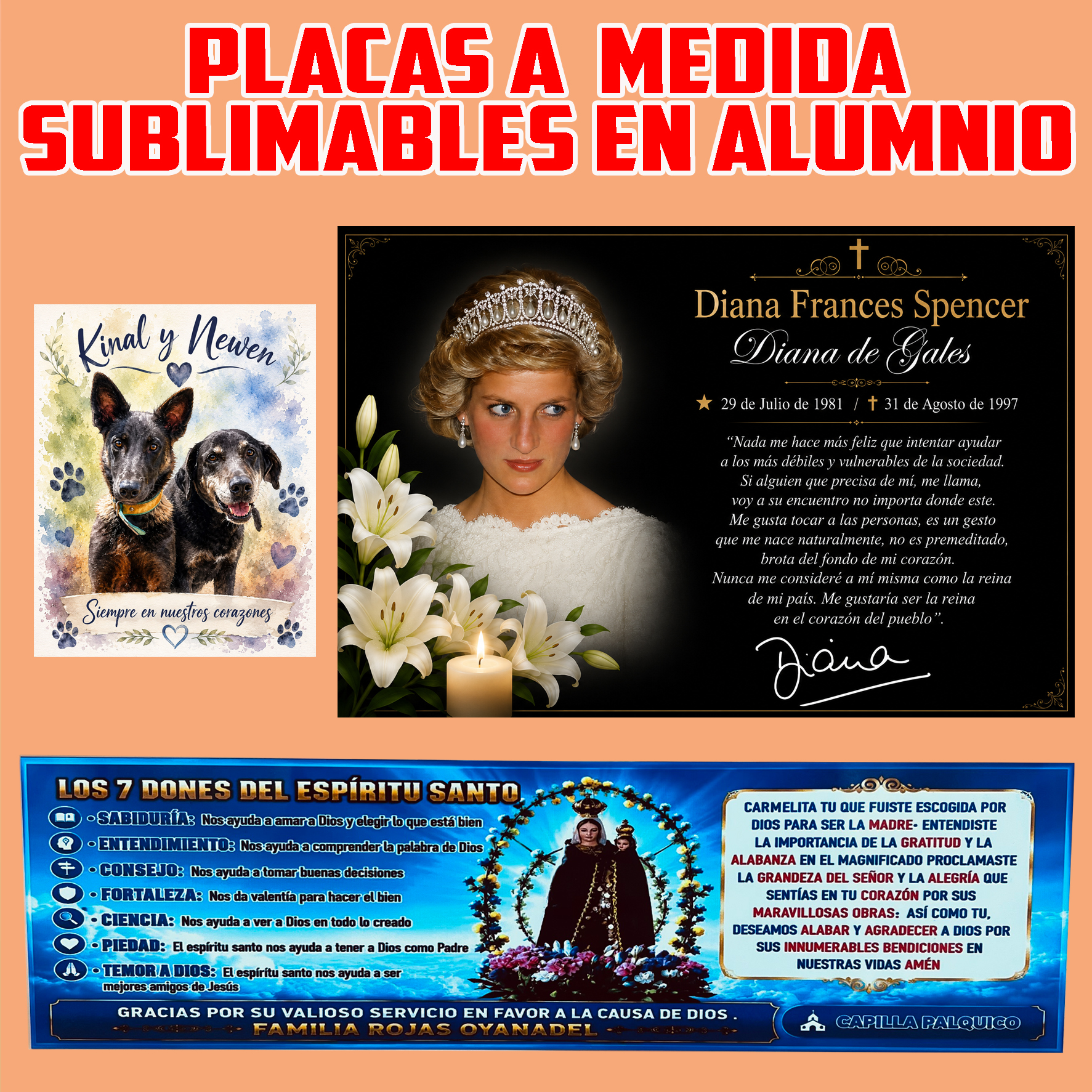 Placa Aluminio Sublimable