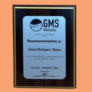 Retablo MDF Enchapado 23x30cm con Placa